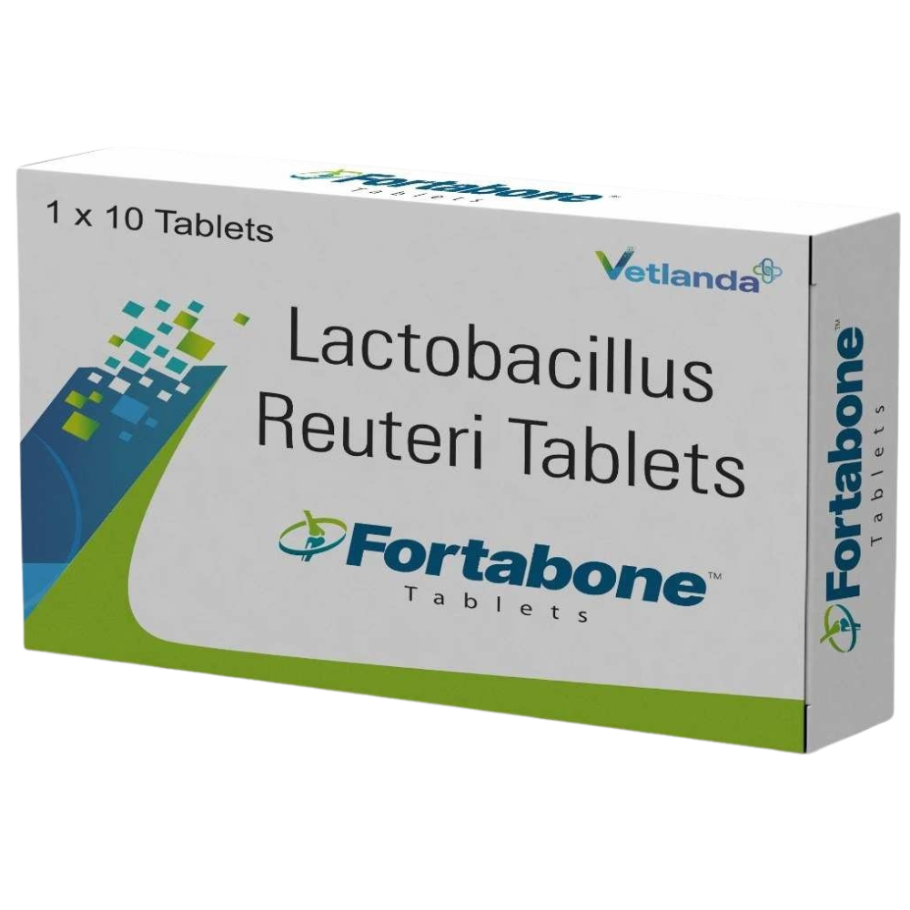 Fortabone: Advanced Support for Bone Strength and Joint Wellness